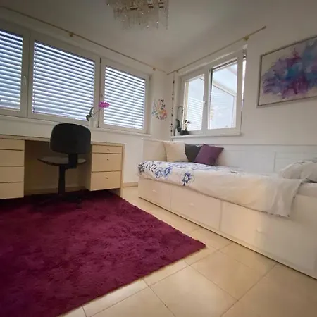 Amazing Skyline Penthouse - 300m2! Apartment *