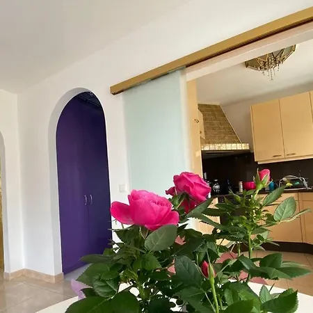 Apartment Amazing Skyline Penthouse - 300m2! Graz